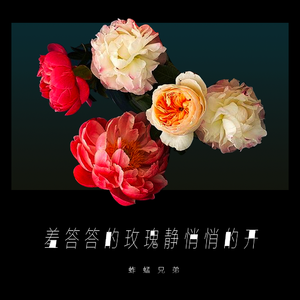 黑土大雷漫画在哪看
